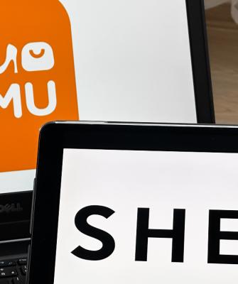 temu-shein