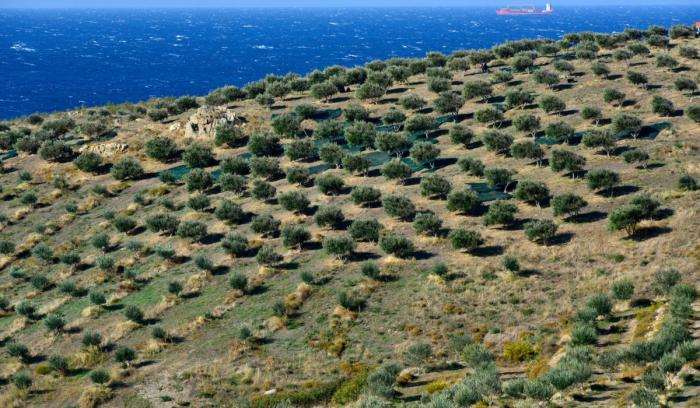 Sigri-Lesvos