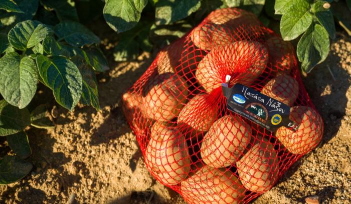 Πατάτα Νάξου