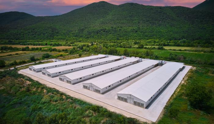 Νιτσιάκος