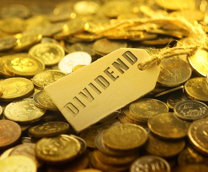 dividend
