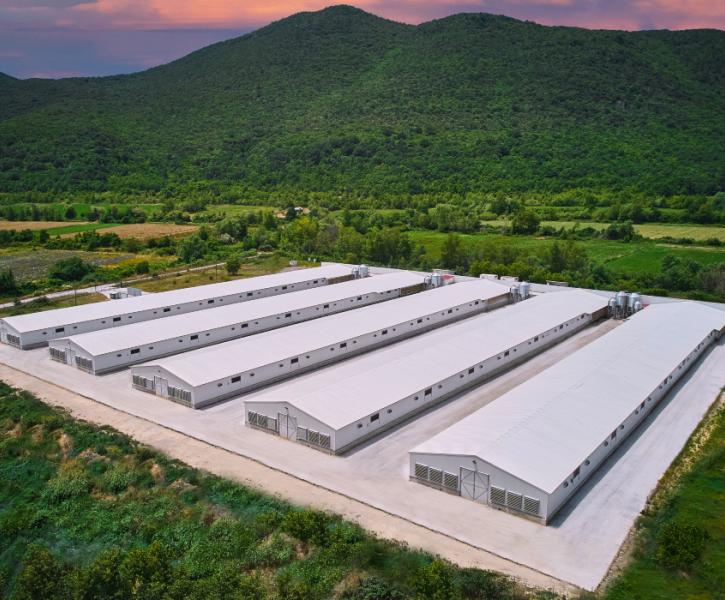 Νιτσιάκος