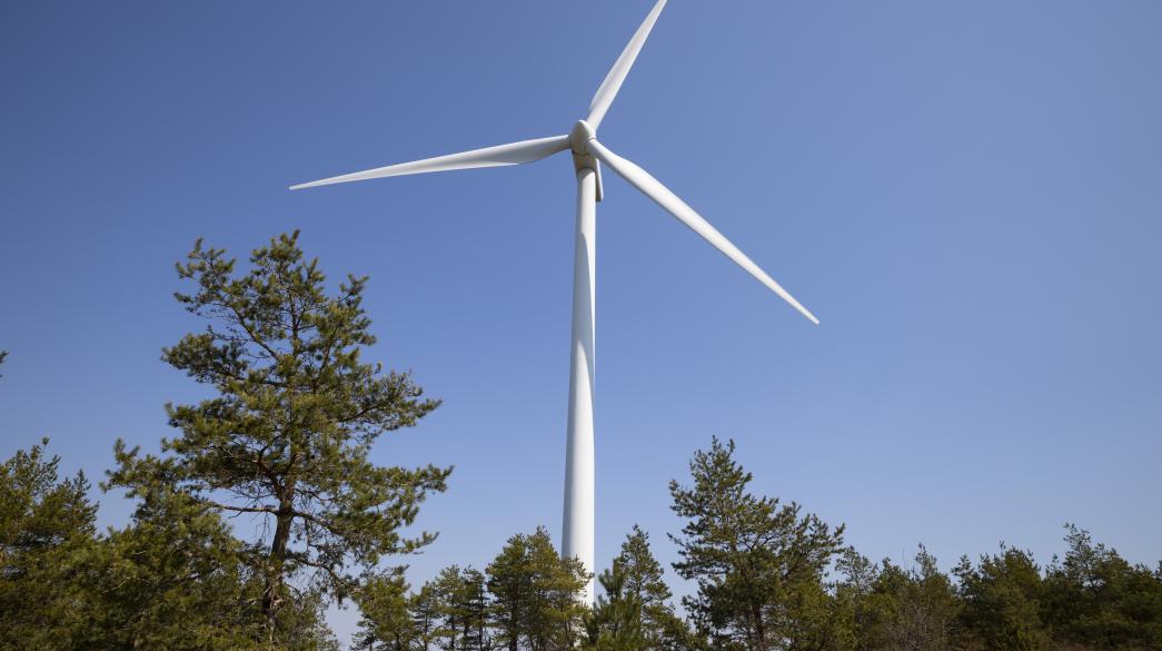 terna-ananewsimes-aiolika-wind-renewables