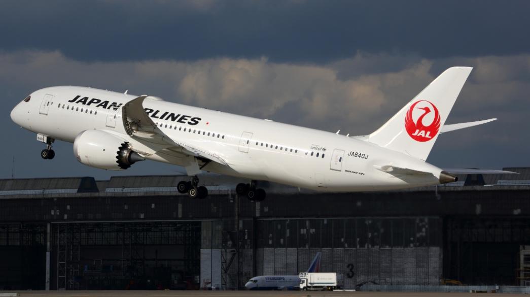 Japan Airlines, Iapvnia, Aerometafores