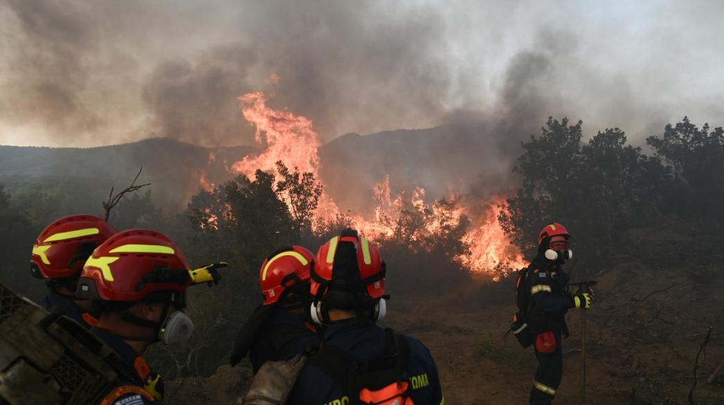 Πυροσβέστες σε δασική πυρκαγιά