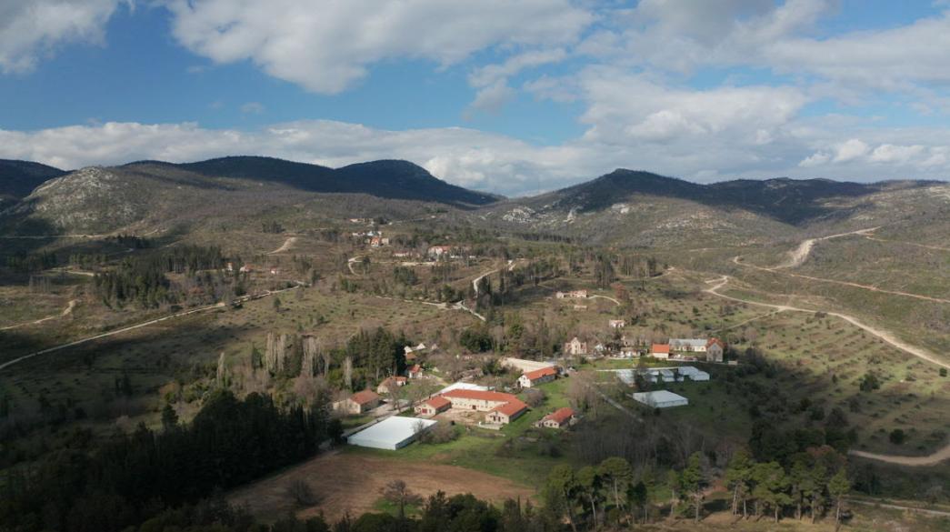 Tatoi_Former Royal Estate_Growthfund