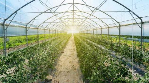 Θερμοκήπιο καλλιέργειας