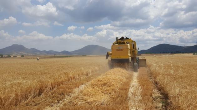 Θεριστική μηχανή σε χωράφι