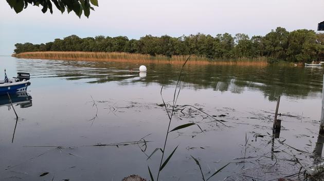 Ποταμός Πηνειός φύση