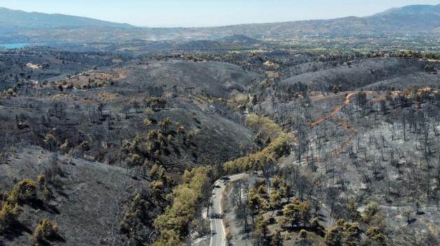 Καμένη δασική περιοχή Βαρνάβα