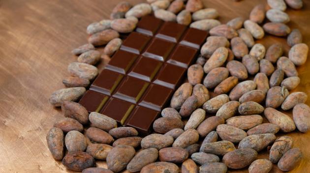 Σοκολάτα και κακάο