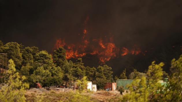 Πυρκαγιά σε δάσος
