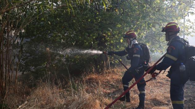 Πυροσβέστες σε δράση