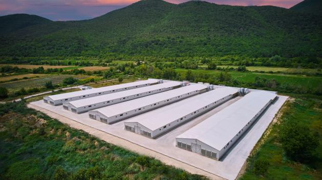 Νιτσιάκος