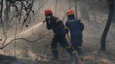 Έλληνας πυροσβέστης δάσους