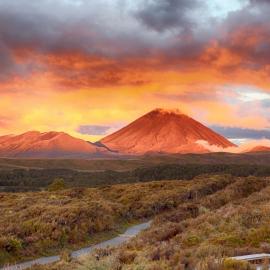 Ηφαίστειο Νέας Ζηλανδίας