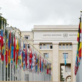 Ηνωμένα Έθνη Γενεύη