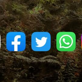 Λογότυπα social media