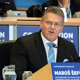 Μάρος Σεφτσοβιτς στο Ευρωκοινοβούλιο