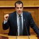 Θάνος Πλεύρης βουλή